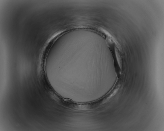 X0000086751453200705111645