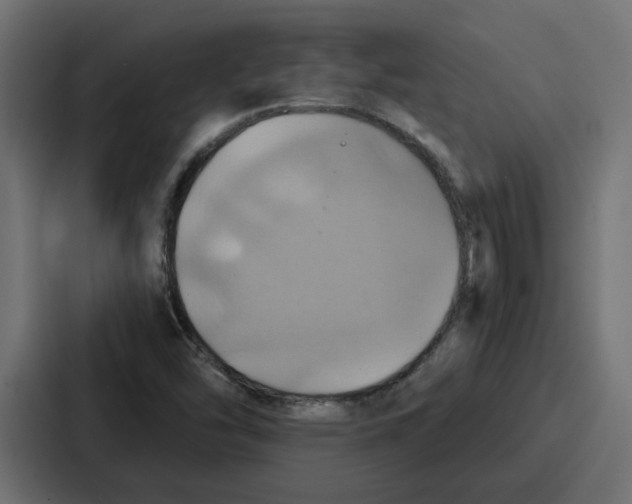 X0000086751454200705111645