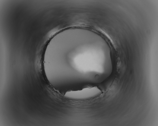 X0000086751455200705111645