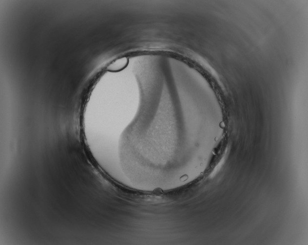 X0000086751456200705111645