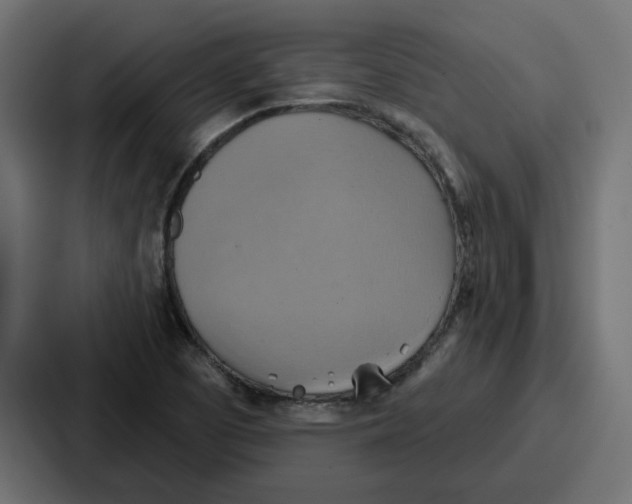 X0000086751457200705111645