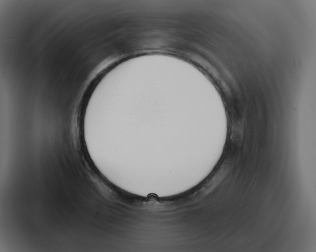 X0000086751458200705111645