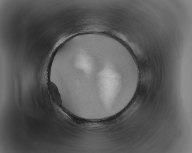 X0000086751459200705111645