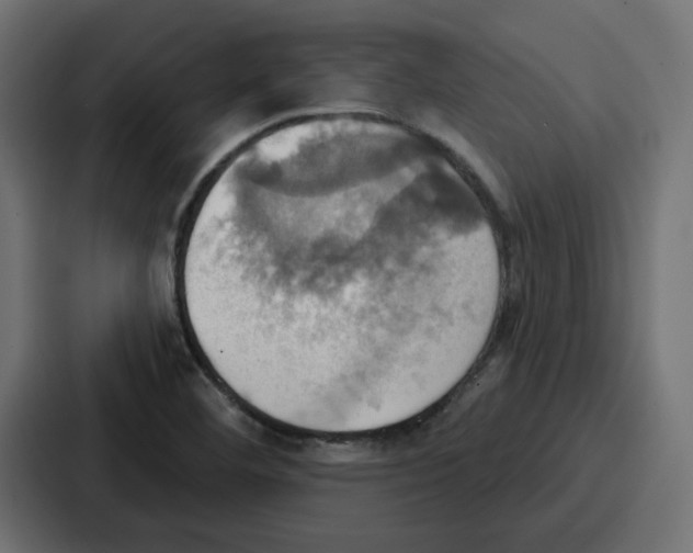 X0000086751460200705111645