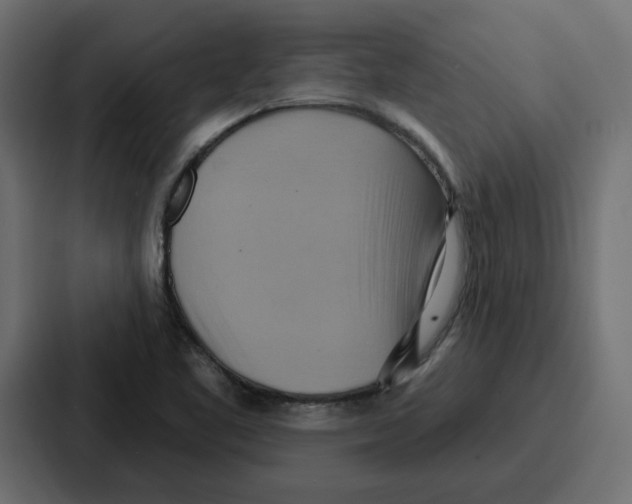 X0000086751461200705111645