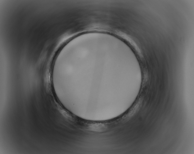 X0000086751462200705111645