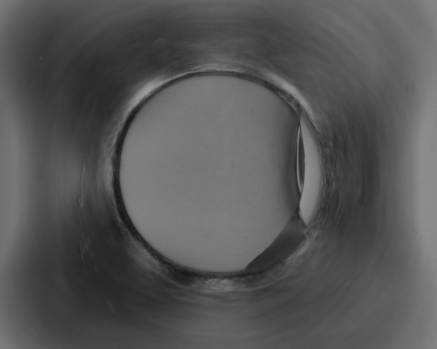 X0000086751463200705111645