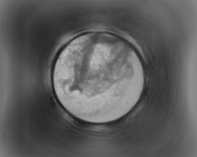 X0000086751464200705111645