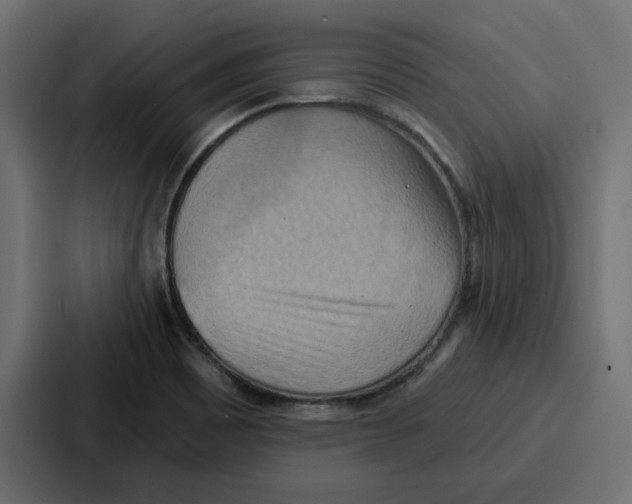 X0000086751465200705111645