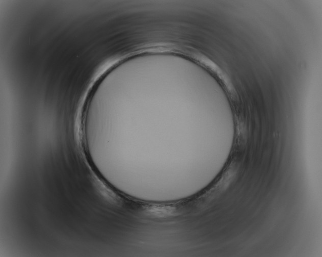 X0000086751466200705111645