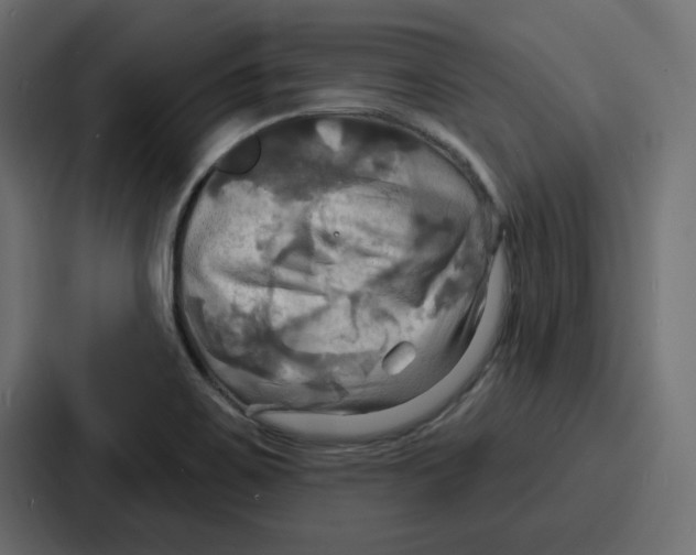 X0000086751467200705111645