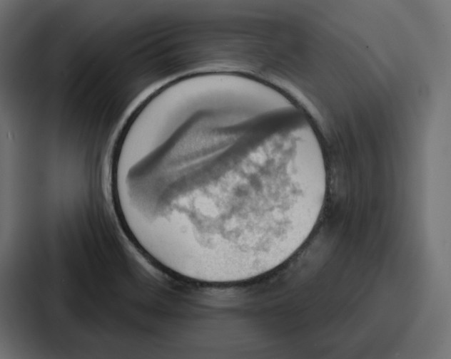 X0000086751468200705111645