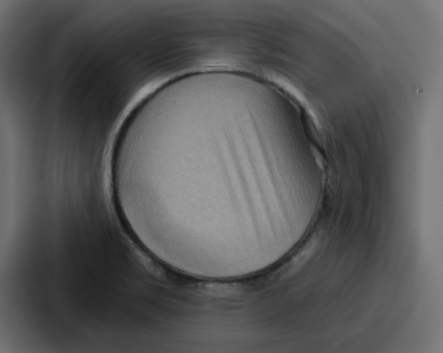 X0000086751469200705111645