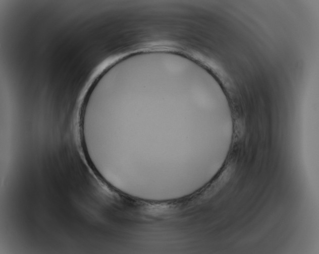 X0000086751470200705111645