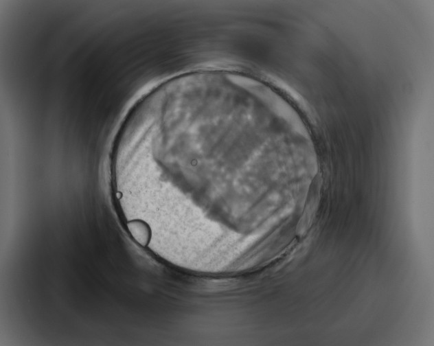 X0000086751471200705111645