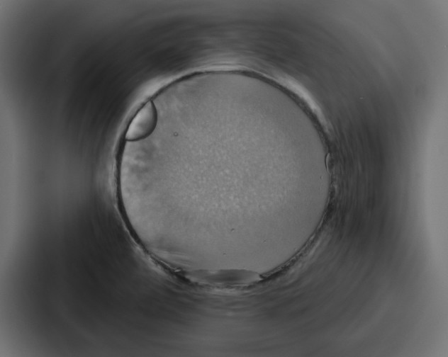 X0000086751472200705111645