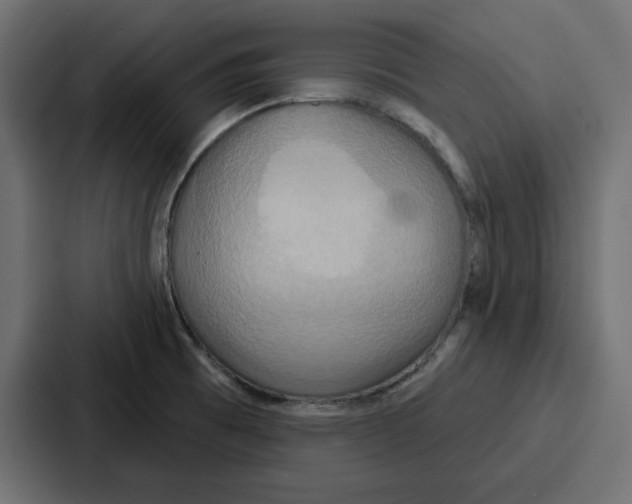 X0000086751473200705111645