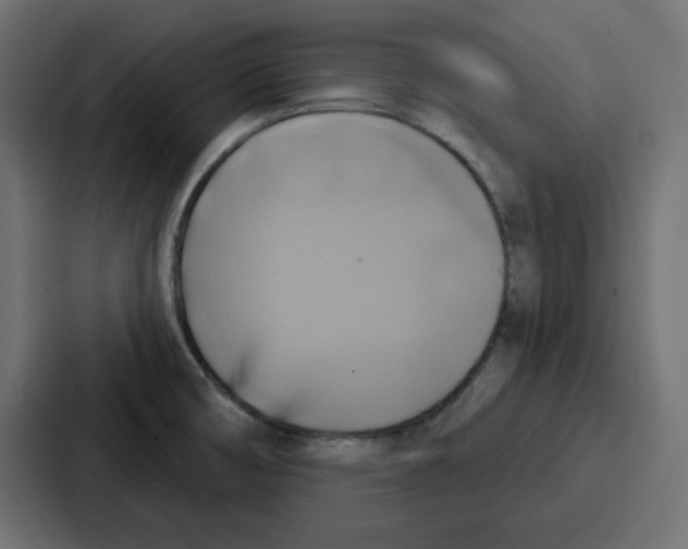 X0000086751474200705111645