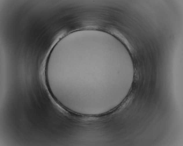 X0000086751475200705111645