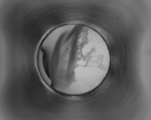 X0000086751476200705111645