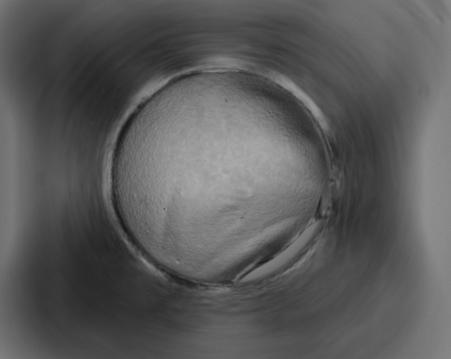 X0000086751477200705111645