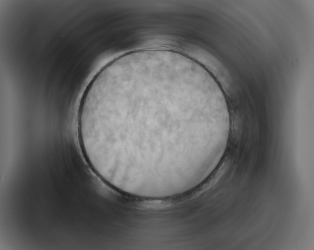 X0000086751478200705111645