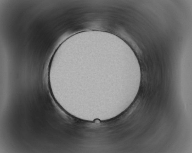 X0000086751479200705111645