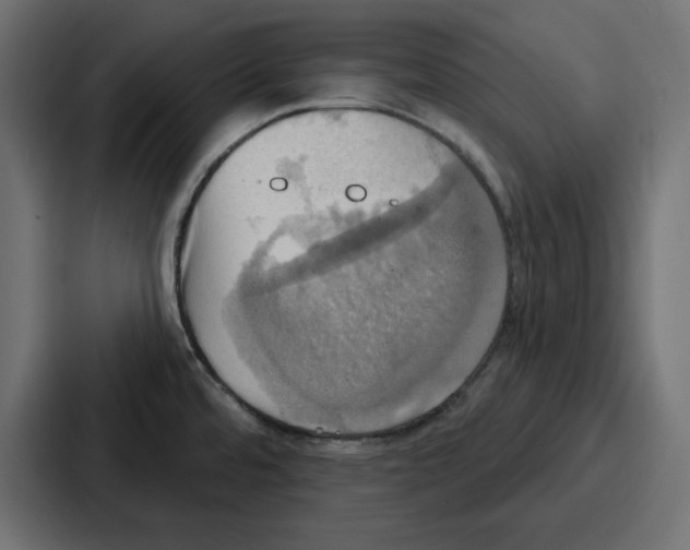 X0000086751480200705111645