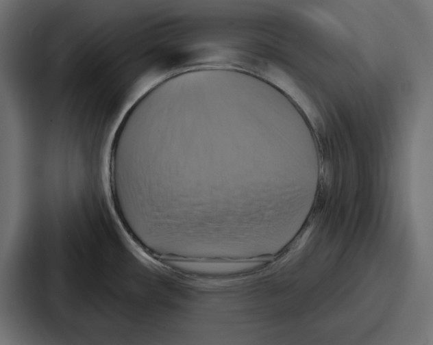 X0000086751482200705111645