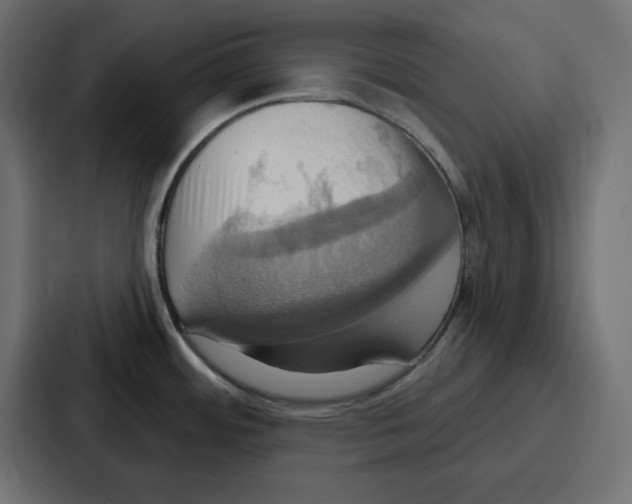 X0000086751484200705111645