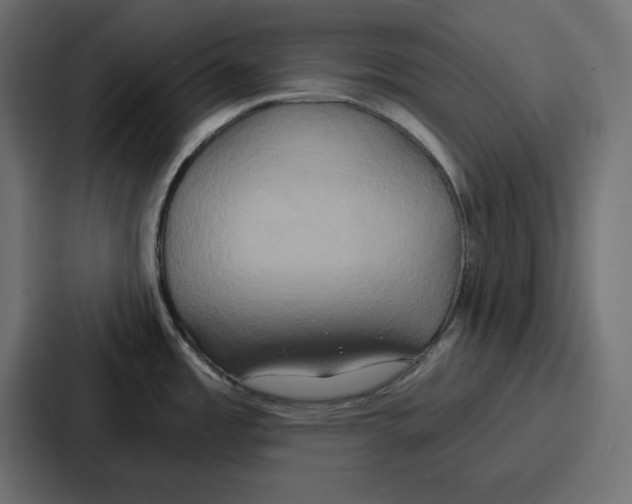 X0000086751485200705111645