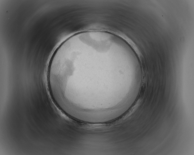 X0000086751486200705111645