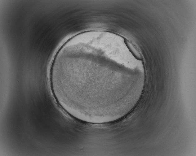 X0000086751488200705111645