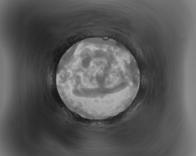 X0000086751490200705111644