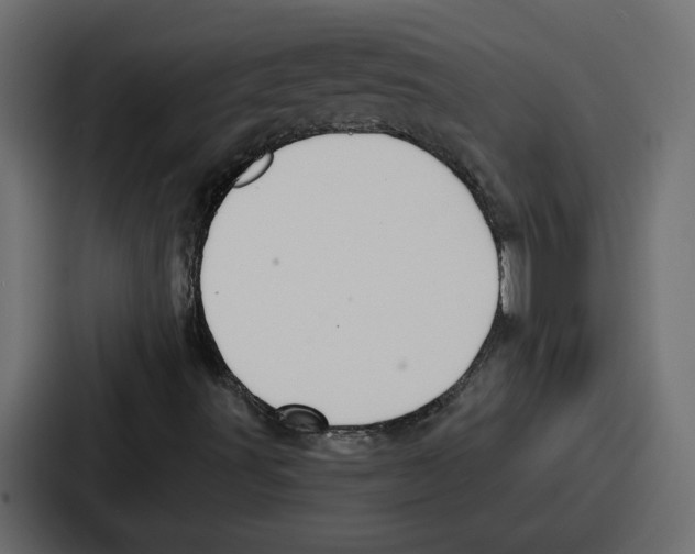 X0000086751491200705111644