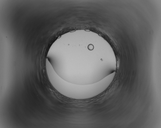 X0000086751492200705111644