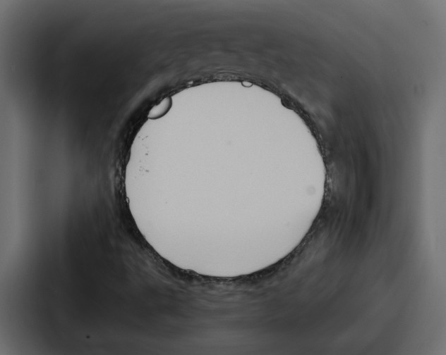 X0000086751495200705111644