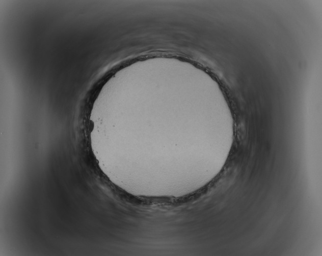 X0000086751496200705111644