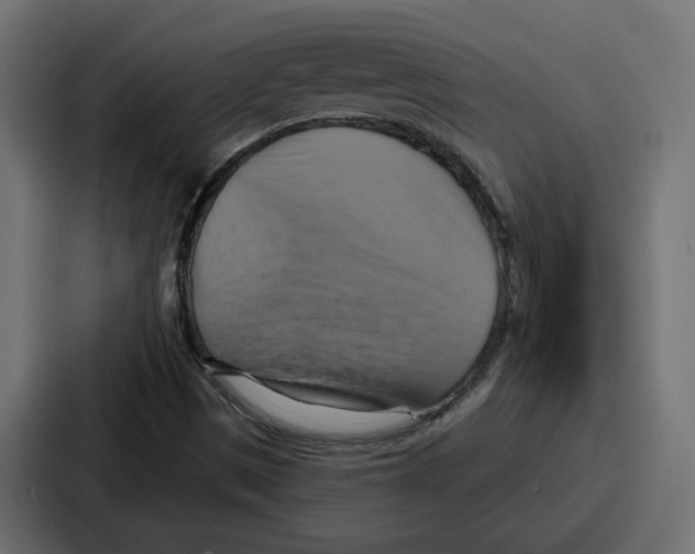 X0000086751497200705111644