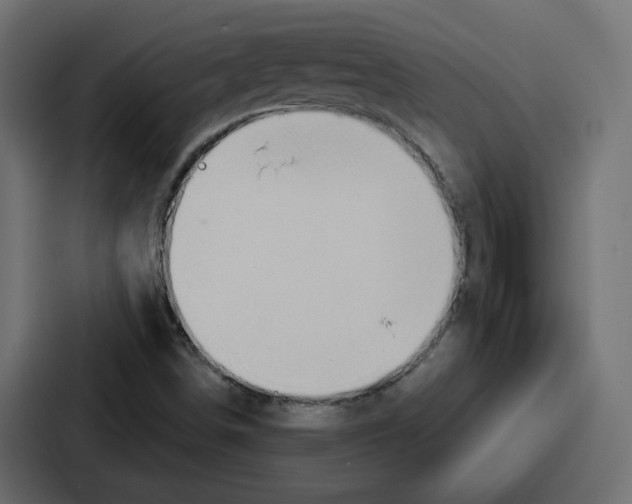 X0000086751498200705111644