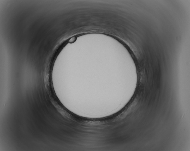 X0000086751499200705111644