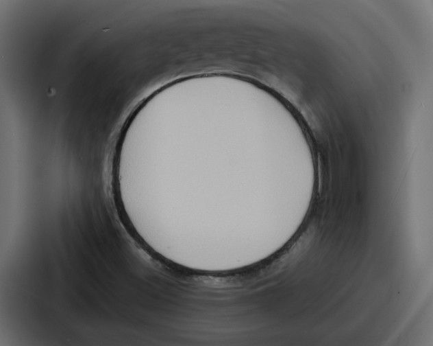 X0000086751500200705111644