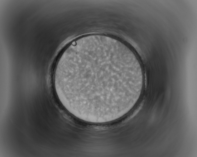 X0000086751501200705111644