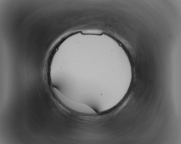 X0000086751502200705111644