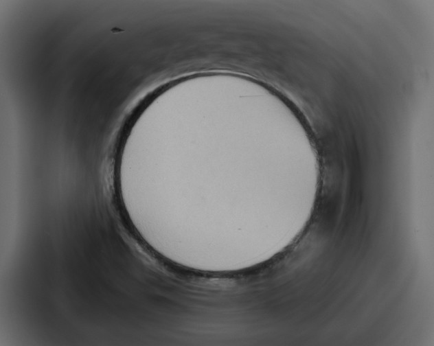 X0000086751503200705111644