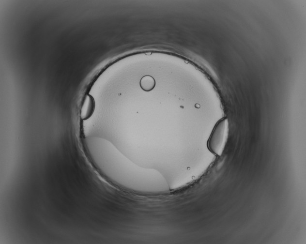 X0000086751504200705111644