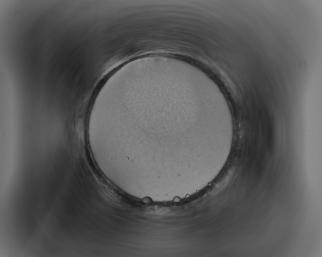 X0000086751505200705111644