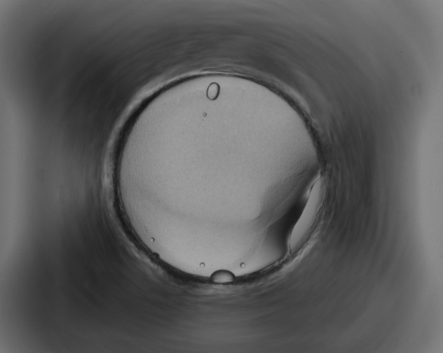 X0000086751506200705111644