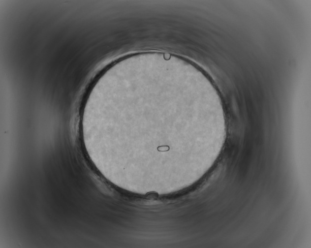 X0000086751507200705111644