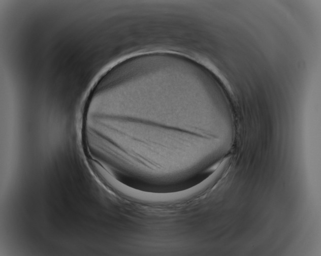 X0000086751508200705111644